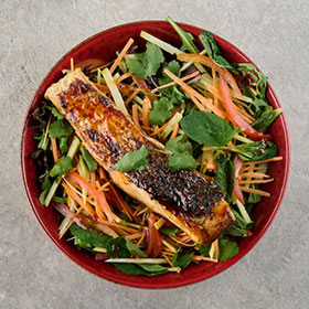 The Sporting Globe Bar & Grill