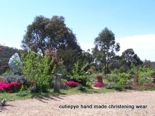 40 acre farm with house goulburn area 440,000