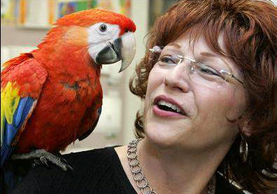 macaw parrot needs good home