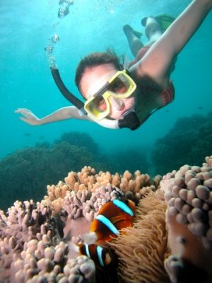 Great Barrier Reef tours Cairns