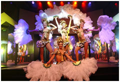 Cruise, Dine and Enjoy a Spectacular Show Aboard Sydney Showboats!