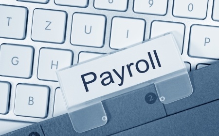 Payroll Services Provider