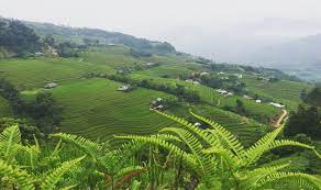 Vietnam Trip – Let Our Premium Customized Services Over whelm You 