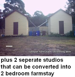 40 acre farm goulburn area $440,000 0427820744