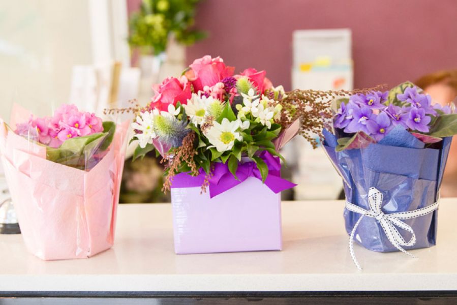 All on 4 Implants Treatment in Blackburn, Australia| Healthy Smiles