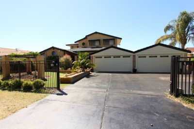 Next Level Extensions