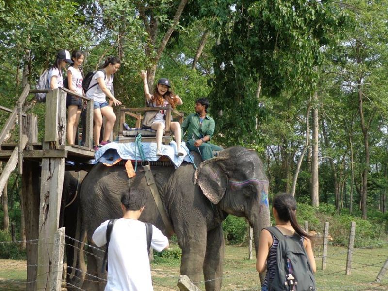 Tree planting in Nepal