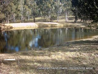 farm 40 acres and house $440000