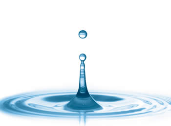 Portable Water Purifier