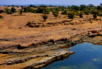 It’s the Royal voyage to Rajasthan