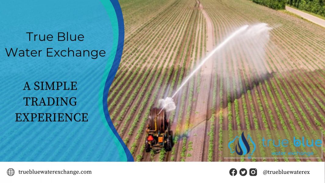 True Blue Water Exchange is the leading family-run water brokers New South Wales