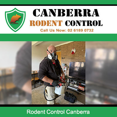 Canberra Rodent Control