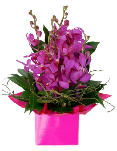 Fresh flower delivery in Melbourne