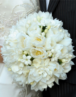 French Flowers – Flowers Delivery in Brisbane North side 