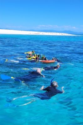 Great Barrier Reef tours Cairns