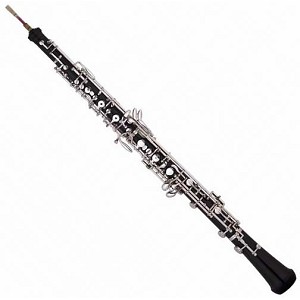 wholesaleviolin.com online wholesale electric jinyin guitar electric violin double bass free shippin