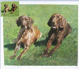 Handmade Oil Paintings