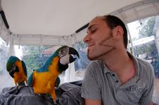 male and female macaw parrots for good homes 