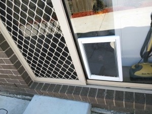 Pet doors Melbourne at Cheap Price
