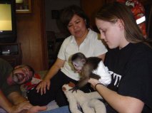 Adorable akc registered Capuchin monkey babies available for good homes 