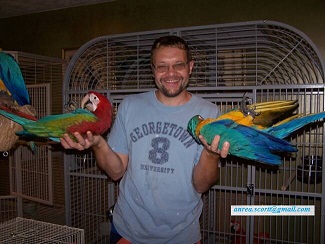 macaws and african grays for sale with fertile eggs and incubators for transportation.