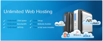 Realiable Web Hosting | Vebnest | Dedicated Servers