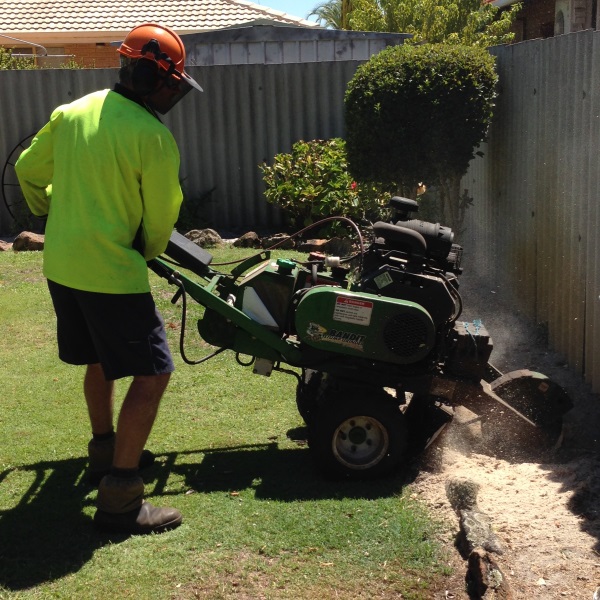 Arbor North Tree Services