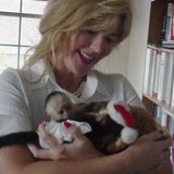 HOME TRAINED BABY CAPUCHIN MONKEYS FOR ADOPTION . saniliprince@gmail.com