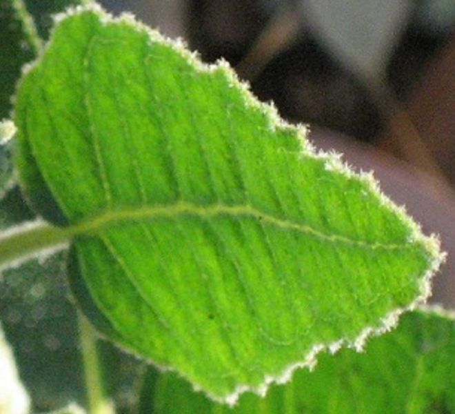 End of Lease Cleaning Perth