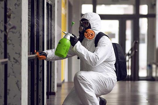 24/7 flood - water - mould - damage restoration adelaide