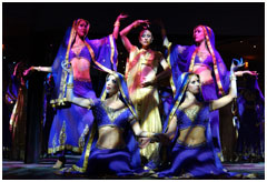 Cruise, Dine and Enjoy a Spectacular Show Aboard Sydney Showboats!