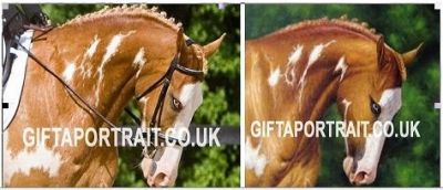 Handmade Painting Portrait (fawad786)