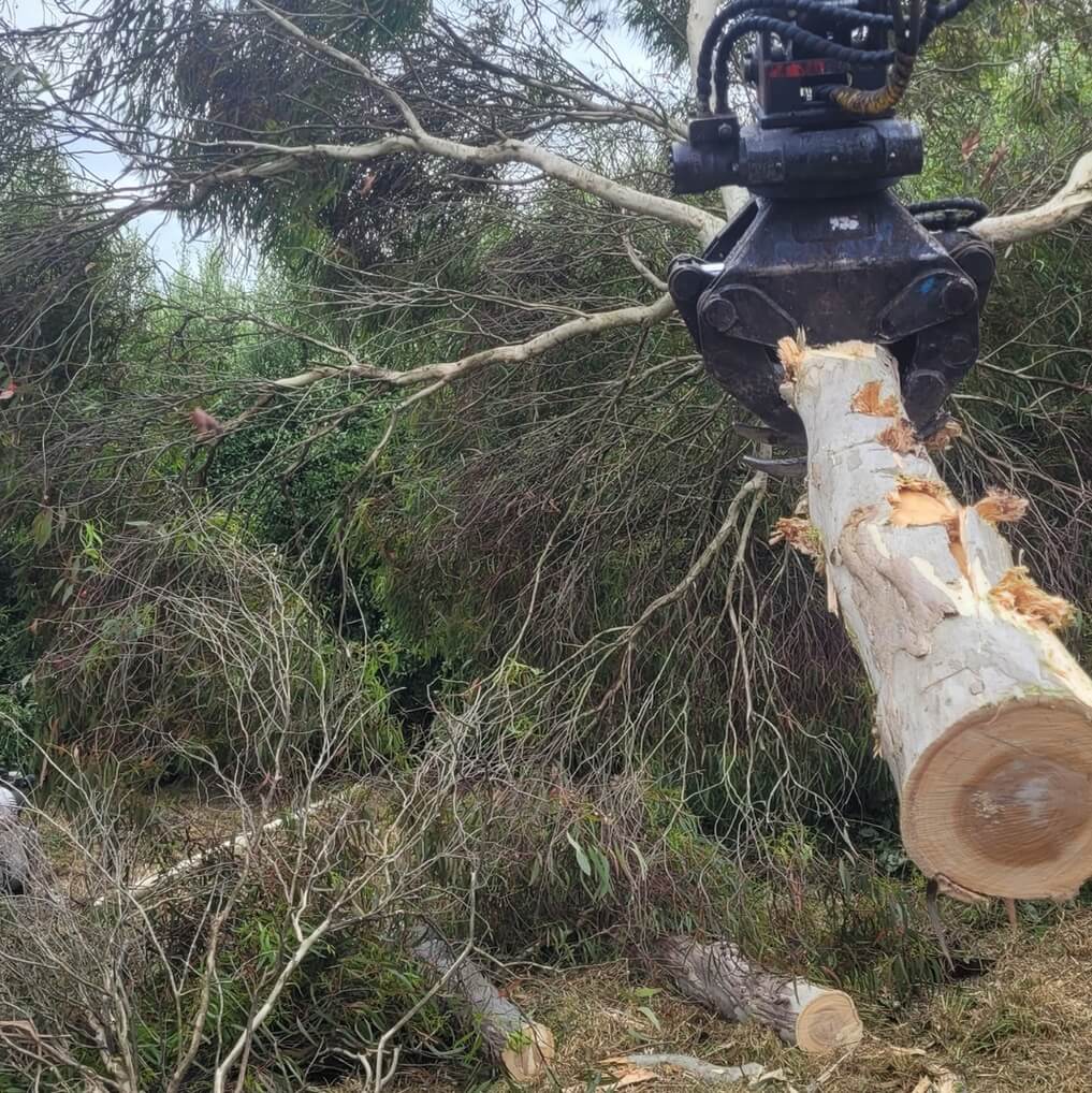 Next Step Tree Removals