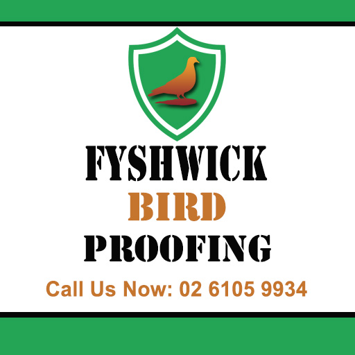 Fyshwick Bird Proofing