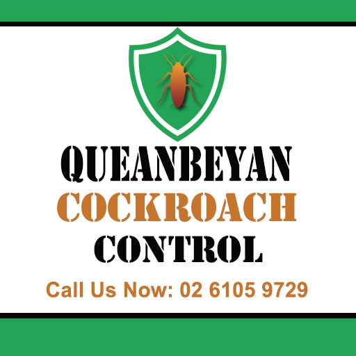 Queanbeyan Cockroach Control