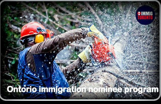 Alberta Immigrant Nominee Program (AINP)