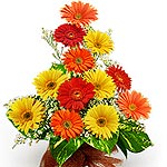 Flowers to glorify the presence of valued relations