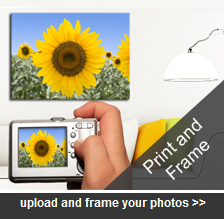 Image Finish – Photo and Picture Framing in Perth