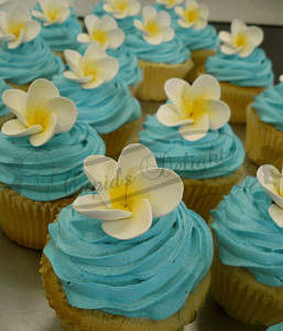 Cupcakes shop Perth You can Rely on for Special Celebrations