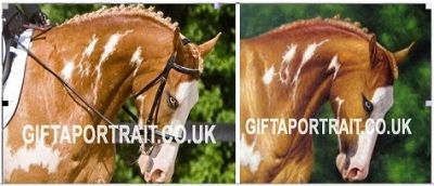 Handmade Painting Portrait (munir0322)