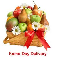 Gift galore opens to garnish your gala celebrations