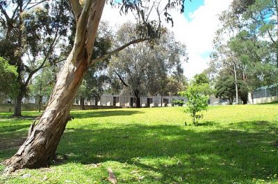 The best place to leave your loving pets