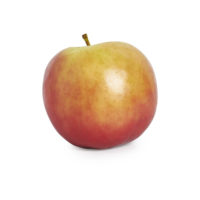 Hampton Fruit Centre