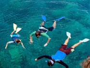 Best Snorkelling on The Great Barrier Reef. 