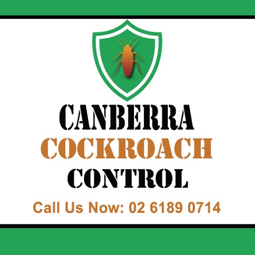 Canberra Cockroach Control
