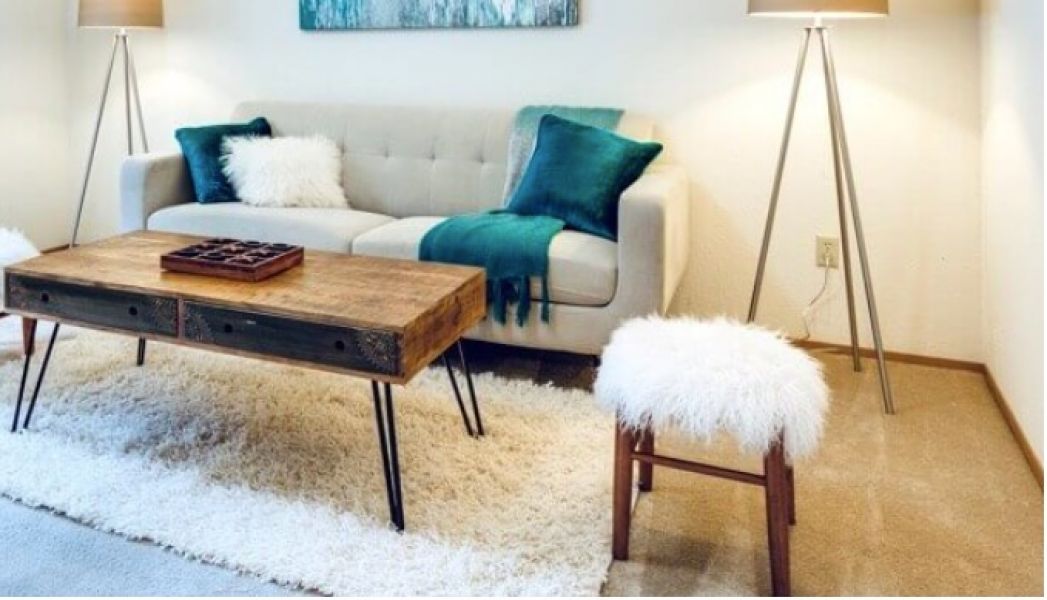 Carpet Cleaner Newcastle