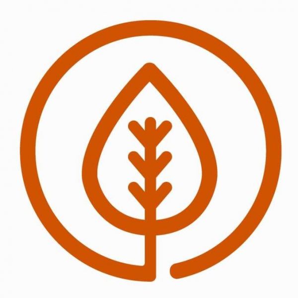 Sacred Fig Beauty Spa