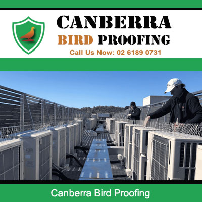 Canberra Bird Proofing