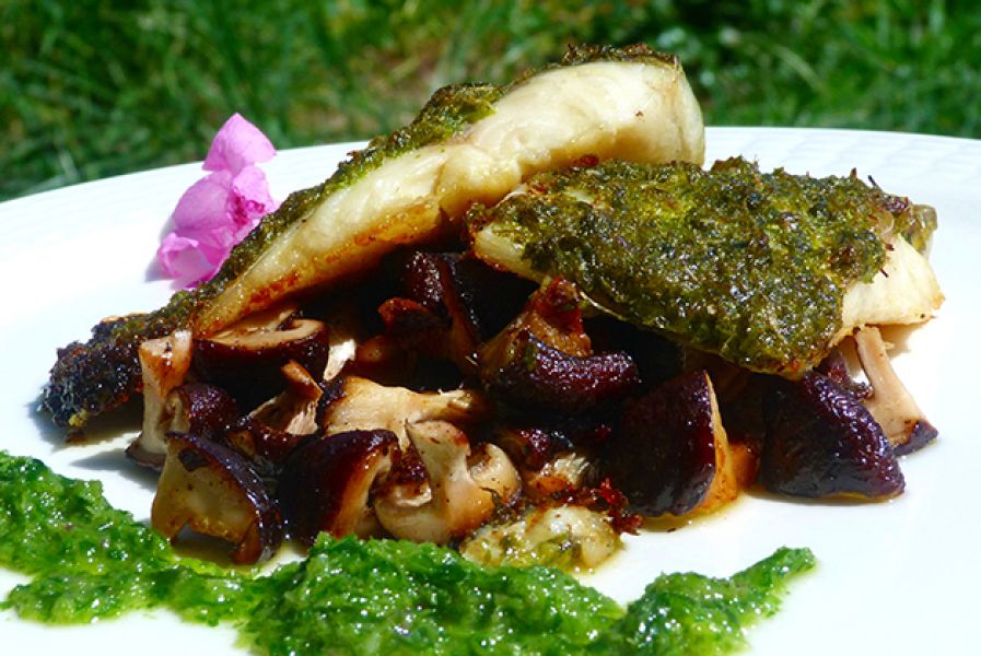 Autoimmune Diet Food List