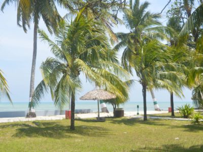 Andaman Tour Packages | Andaman Tour Package